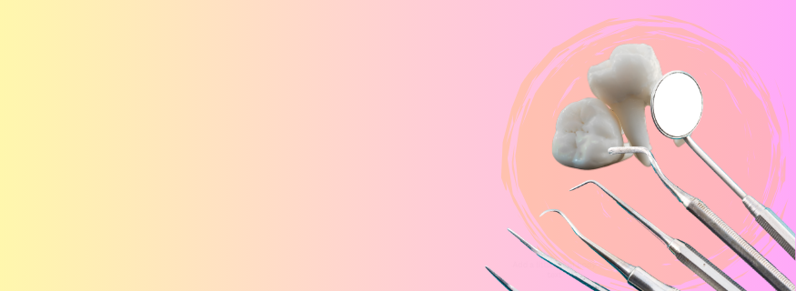banner1